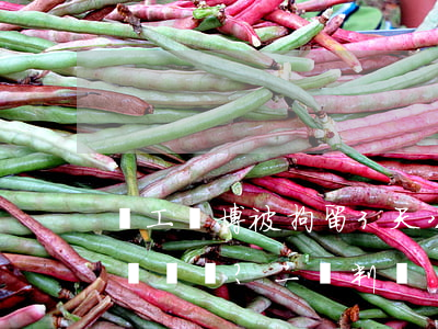 員工賭博被拘留3天，公司能解除勞動合同嗎？（二審判決）